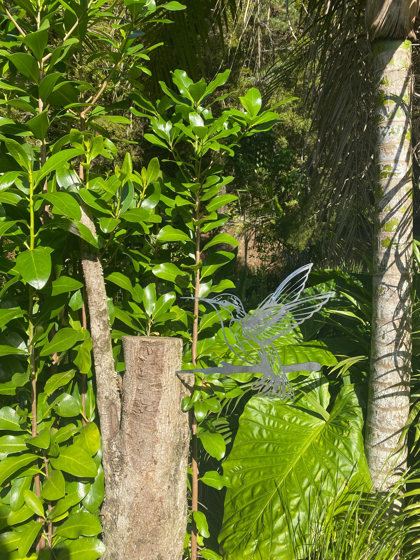 Corten Steel Hummingbird, Knock In
