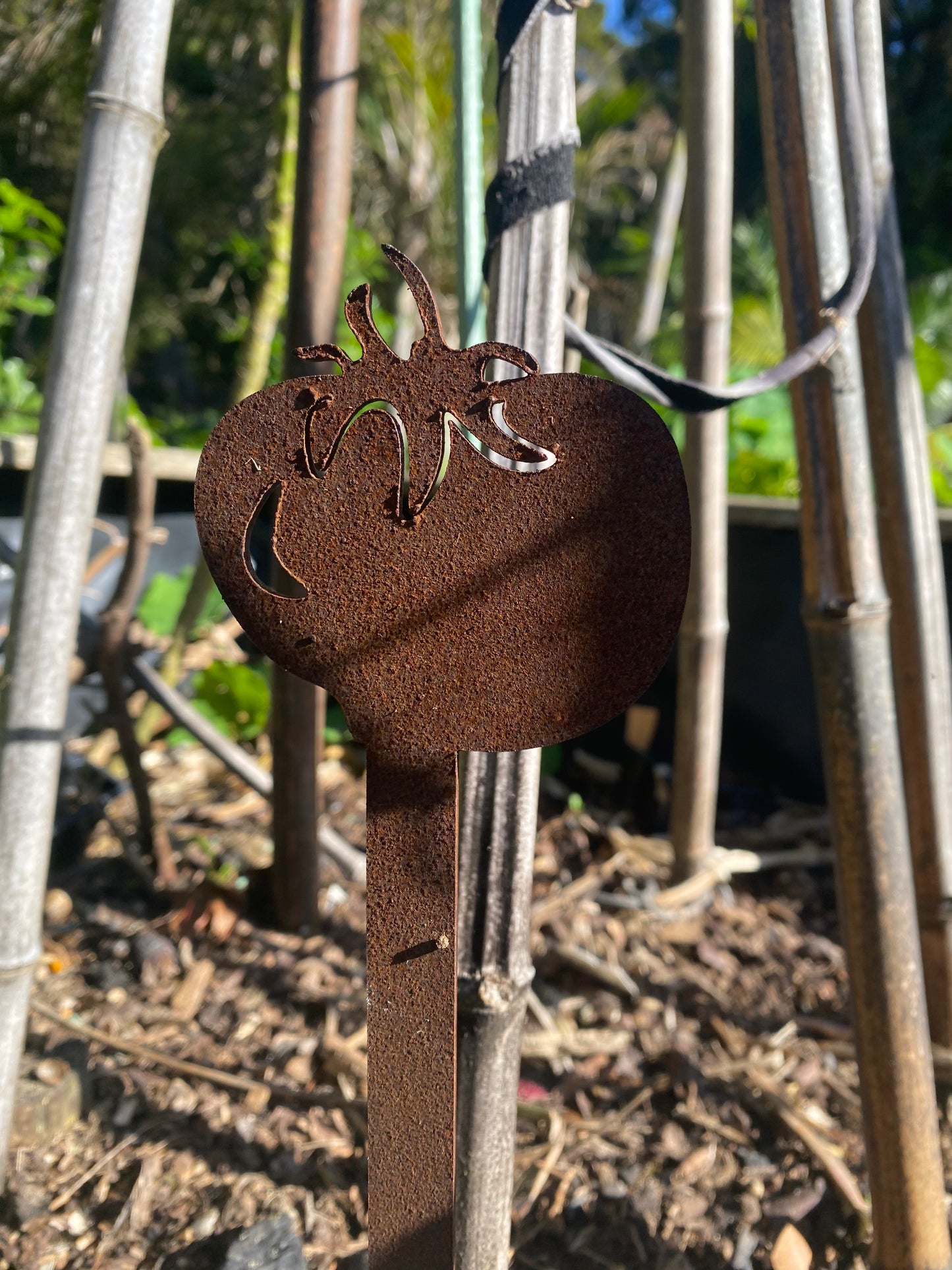 Tomato, Garden Spike