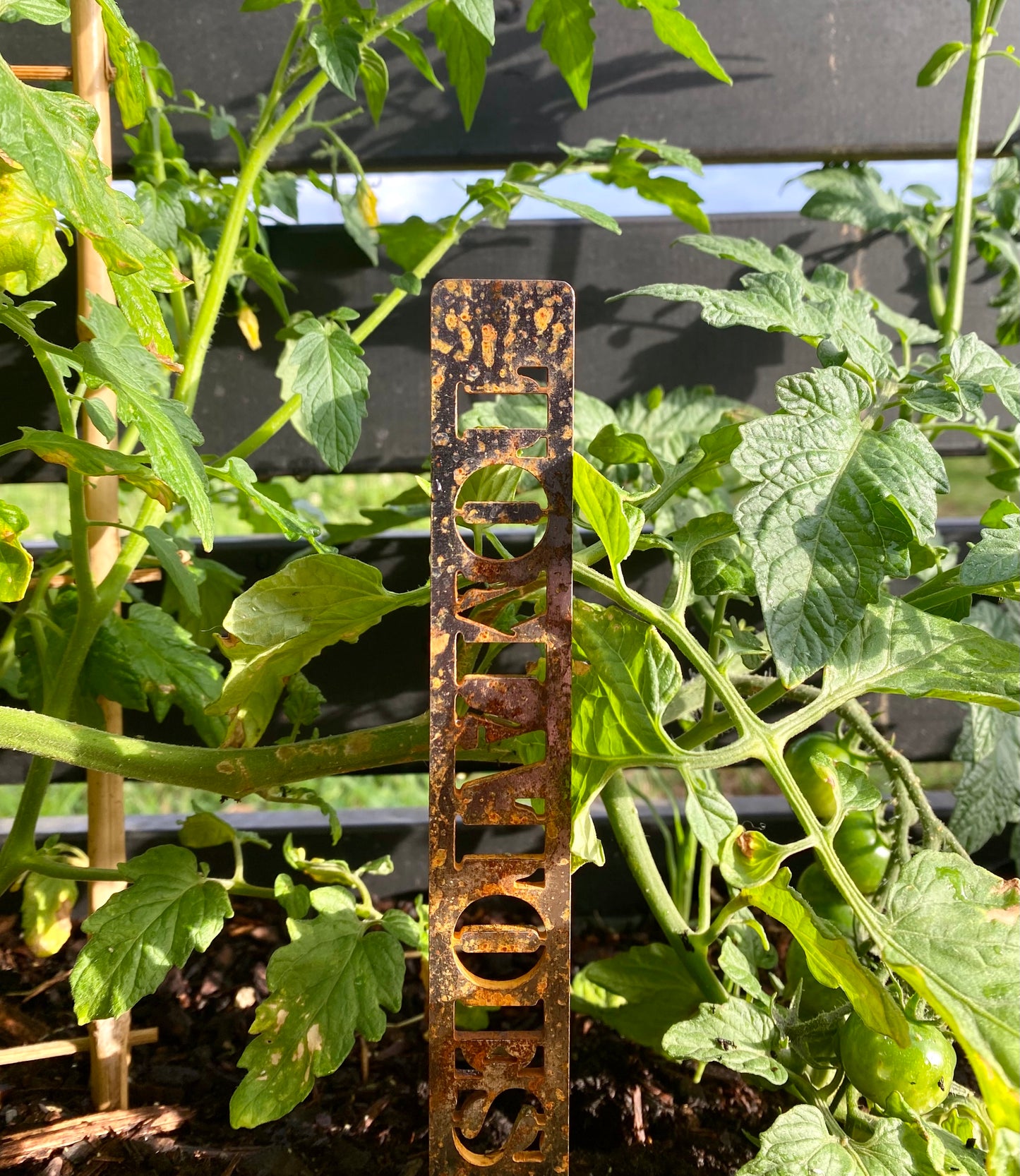 Tomatoes - Garden Marker