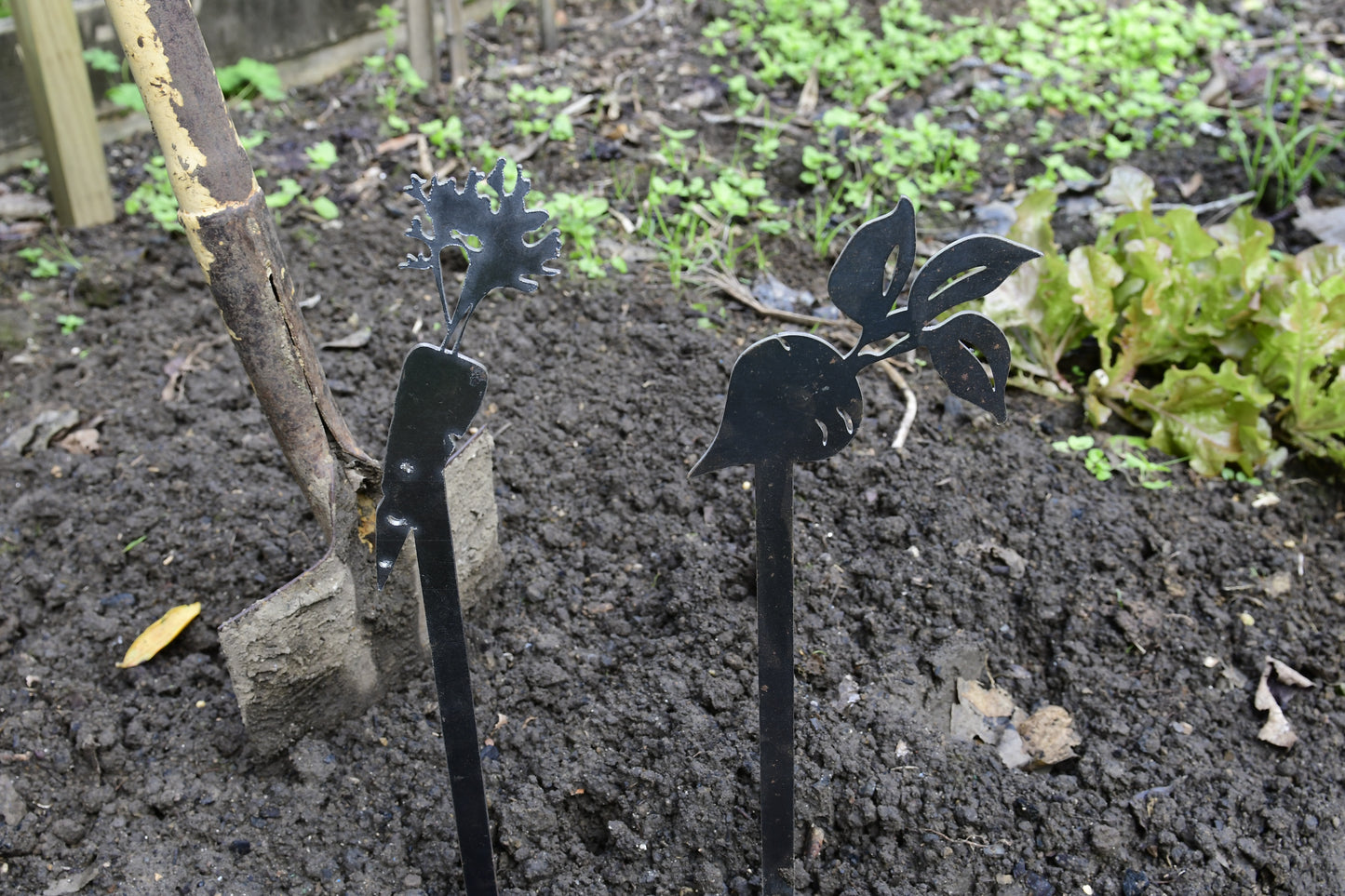 Carrot, Garden Icon