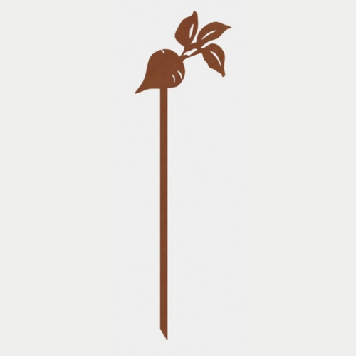 Parsnip, Garden Icon